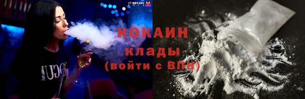 соль ск Абаза