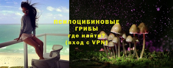 соль ск Абаза